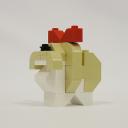 ShihTzu02