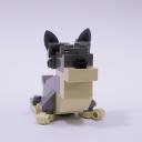welshcorgi01d_cardigan.jpg