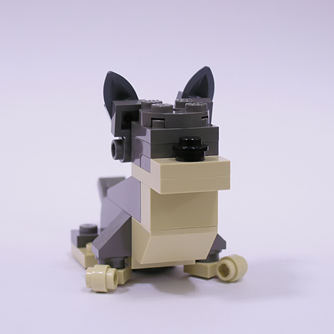 welshcorgi01d_cardigan.jpg