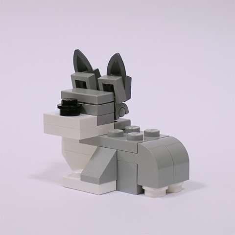 welshcorgi03a_child.jpg