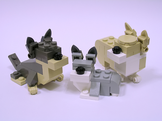 welshcorgi00.jpg