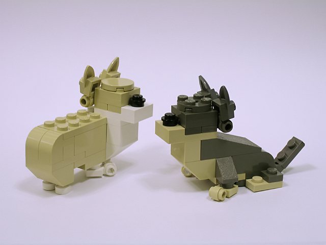 welshcorgi04a.jpg