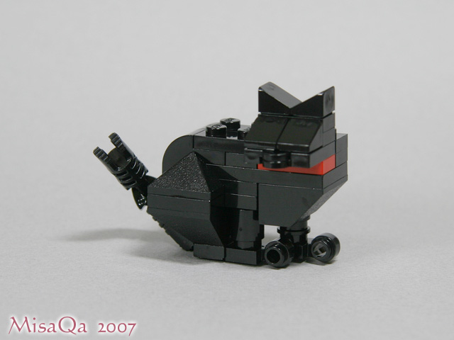 blackcat_01a.jpg