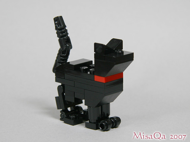 blackcat_04a.jpg