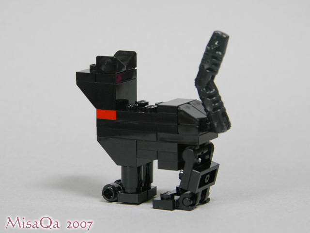 blackcat_04b.jpg