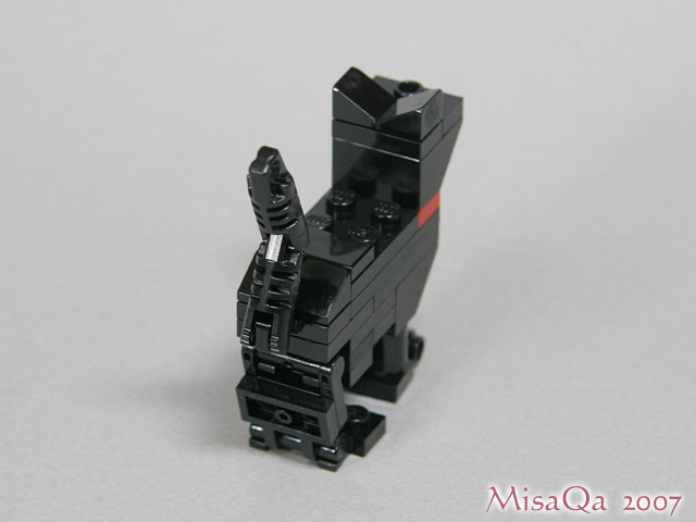 blackcat_04c.jpg