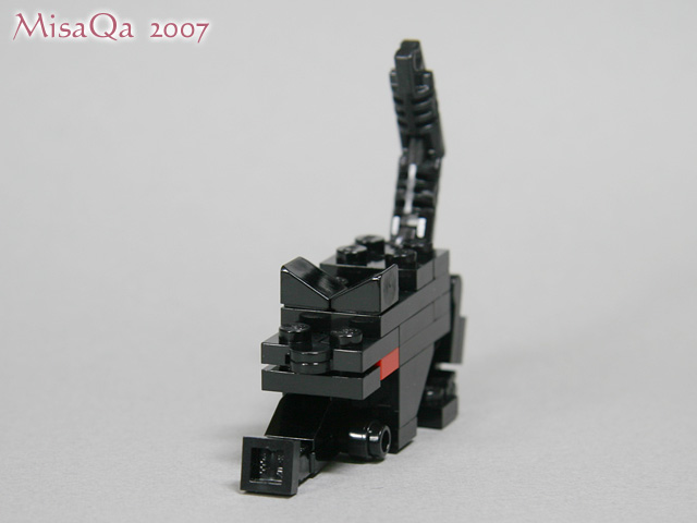 blackcat_05a.jpg