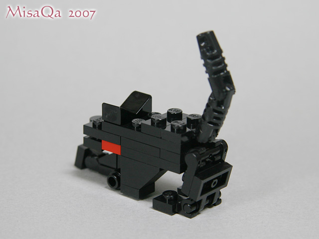 blackcat_05b.jpg