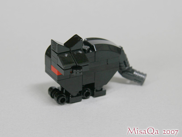 blackcat_06a.jpg