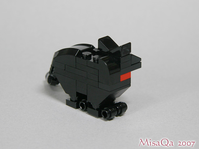 blackcat_06c.jpg