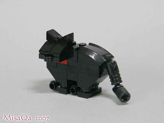 blackcat_06d.jpg