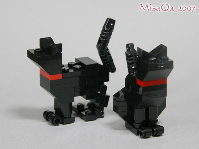 blackcat_00a.jpg