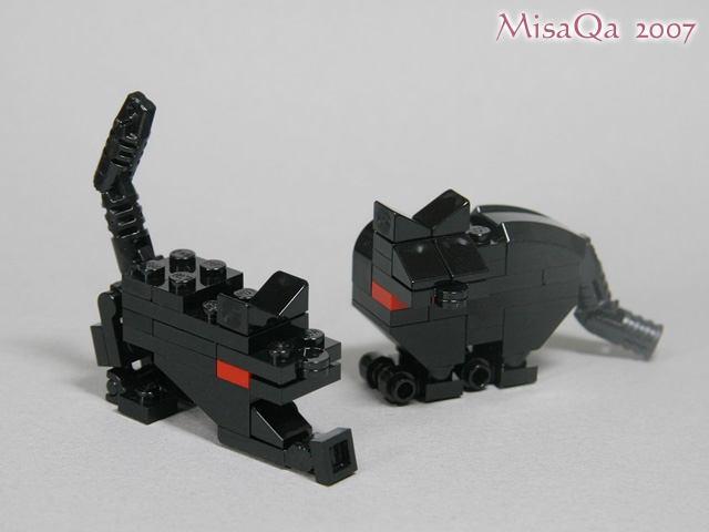 blackcat_00c.jpg