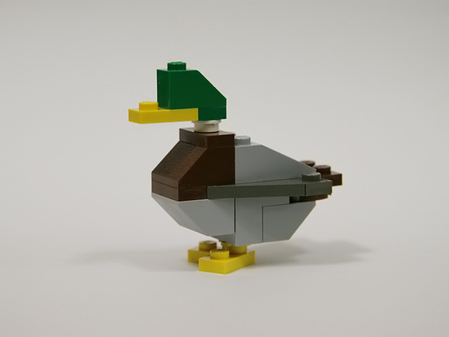 mallard_01a.jpg