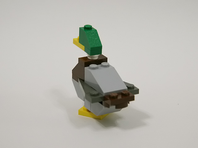 mallard_01c.jpg