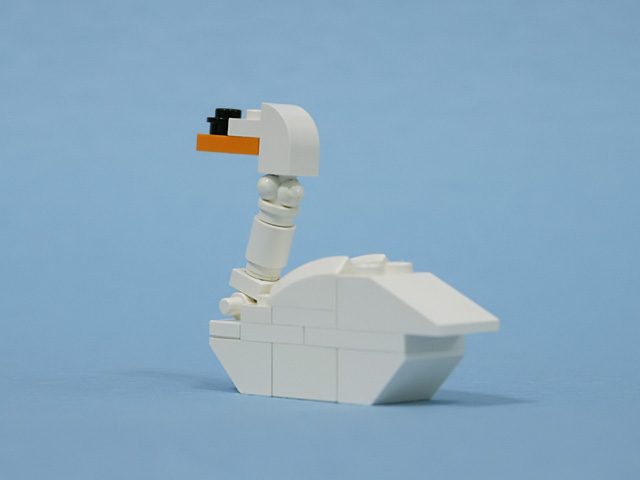 muteswan_01c.jpg