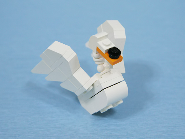 muteswan_04b.jpg