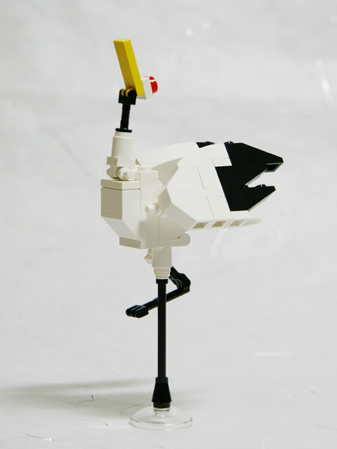 japanesecrane_02a.jpg
