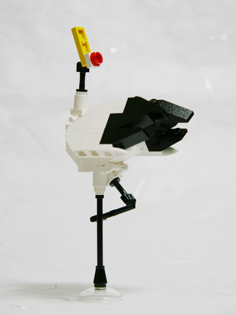 japanesecrane_02d.jpg