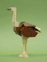 ostrich_02c.jpg