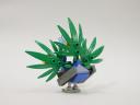 peacock_01b.jpg