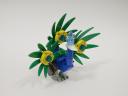 peacock_01d.jpg