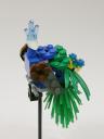 peacock_03b.jpg