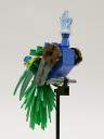 peacock_03d.jpg