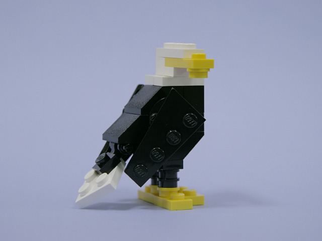 baldeagle_01a.jpg