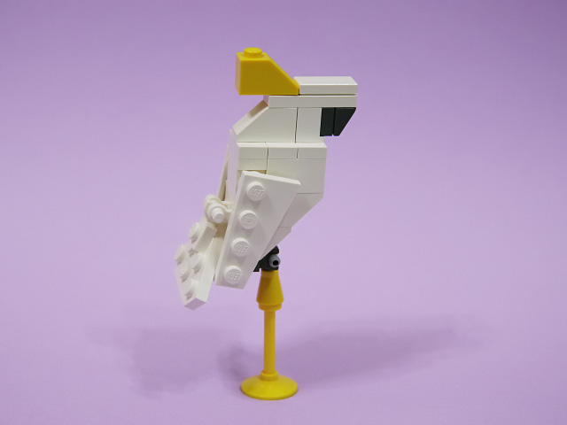 cockatoo_01c.jpg