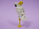 cockatoo_01b.jpg