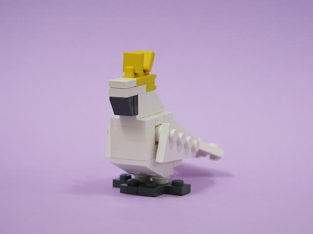 cockatoo_02b.jpg