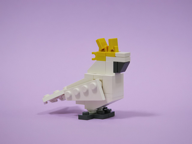 cockatoo_02c.jpg