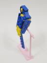 macaw_02c.jpg