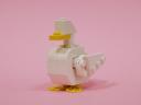 duck_01c.jpg