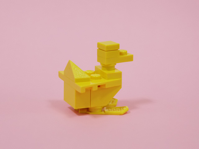 duck_04d.jpg