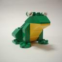 frogfamily02_papa.jpg