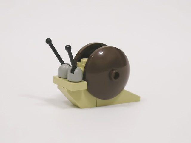 snail03.jpg