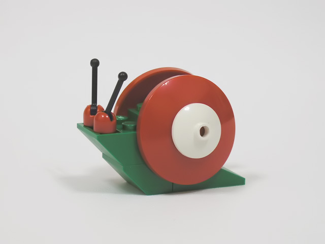 snail06.jpg