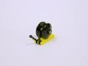snail17.jpg