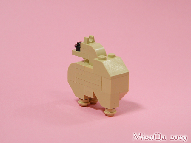pomeranian_b.jpg