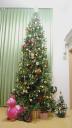 angel_tree01a.jpg