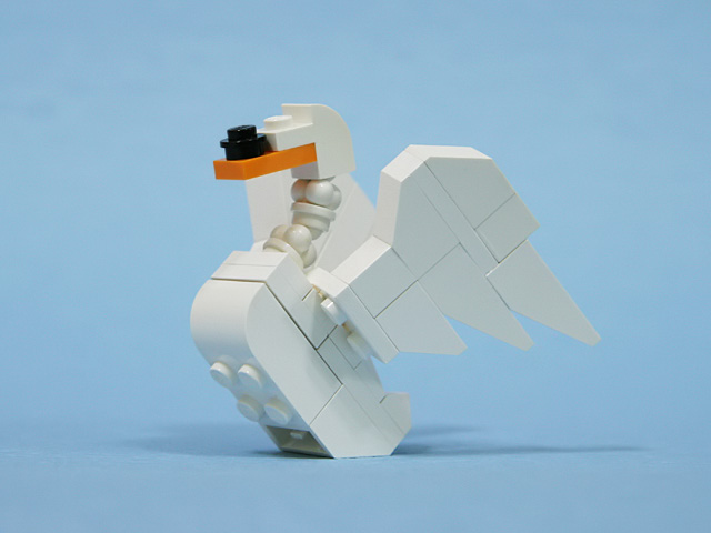 05muteswan_a.jpg