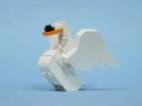 05-MuteSwan