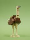 07-OstrichFemale