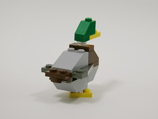 08mallardmale_b.jpg