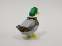 08mallardmale_b.jpg