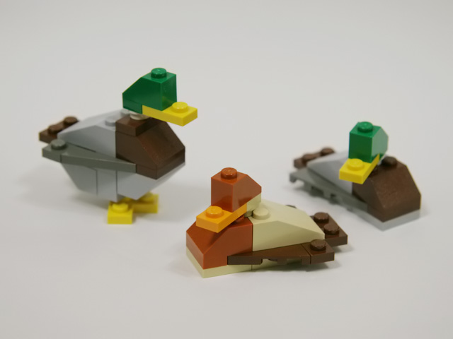 0809_mallard.jpg