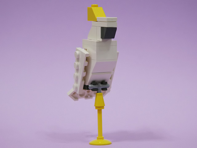 10cockatoo_a.jpg