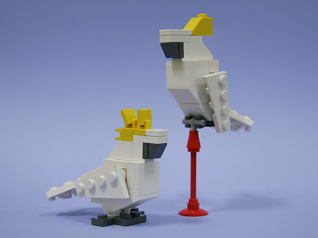 1011_cockatoo.jpg